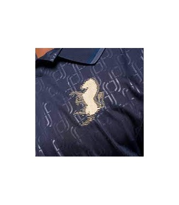 JUVENTUS 3RD JERSEY 2024-25