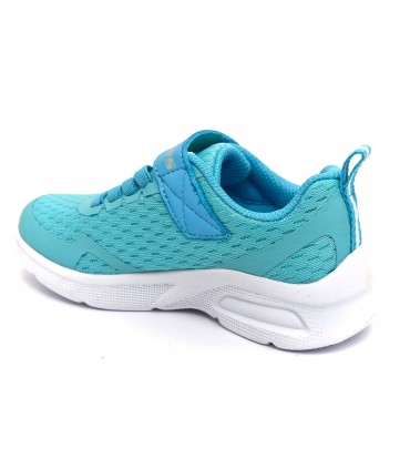 MICROSPEC MAX 302377L AQUA