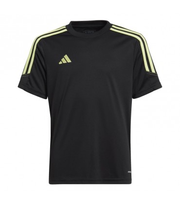 TIRO23 CBTRJSYY ADIL9553