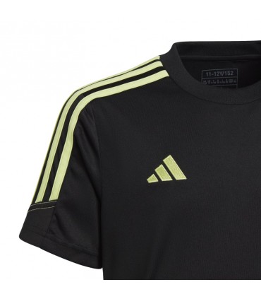 TIRO23 CBTRJSYY ADIL9553