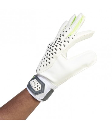 PRED GL TRN ADIA0874 