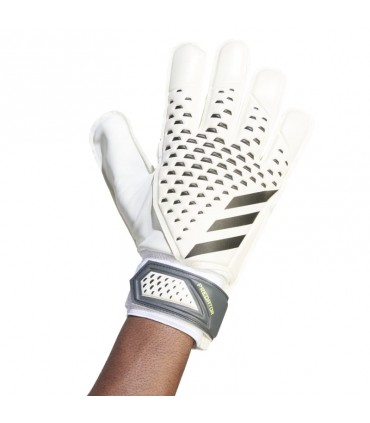 PRED GL TRN ADIA0874 