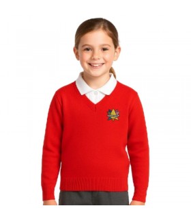 JERSEY PICO UNIFORME