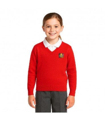 JERSEY PICO UNIFORME