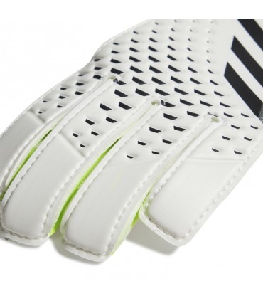 PRED GL TRN J ADIA0859 