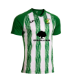 1ª CAMISETA OFICIAL JUGADOR EMF VILLAREJO