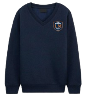 JERSEY COLEGIO LICEO MADARIAGA