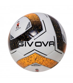 BALON ACADEMY SCHOOL PAL026 1028 