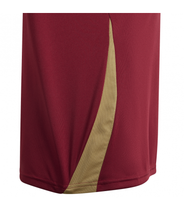 BELGICA JERSEY FAN HOME 