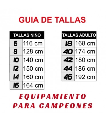 JERSEY COLEGIO LICEO MADARIAGA